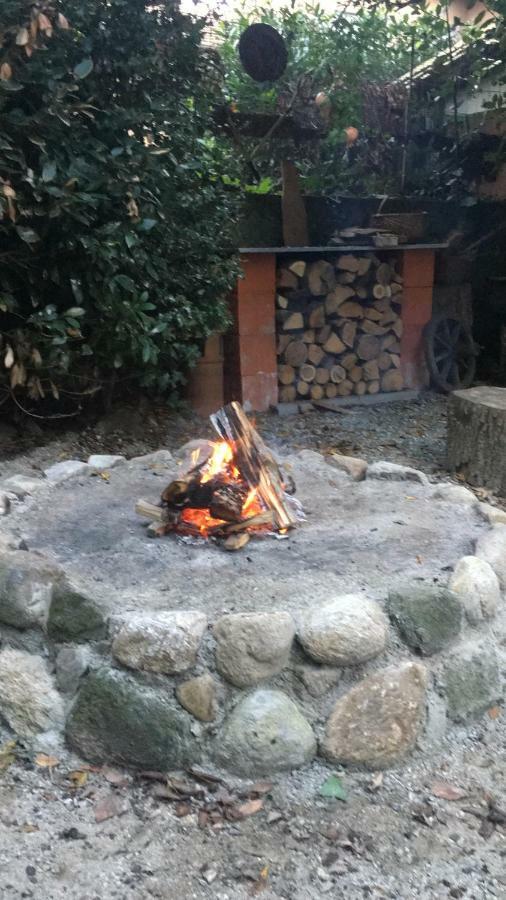 Villa Bacchetta - Stone Cottage Oleggio Castello Εξωτερικό φωτογραφία