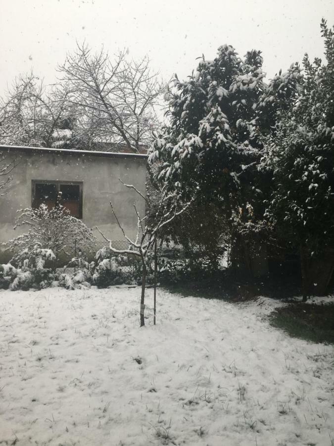 Villa Bacchetta - Stone Cottage Oleggio Castello Εξωτερικό φωτογραφία